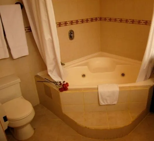 Hotel Windsor