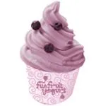 Fun Fruit Yogurt