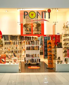 Ponti