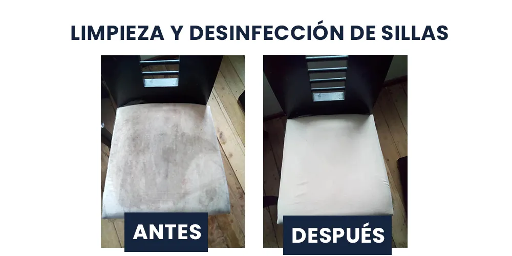 El Genio de las Alfombras