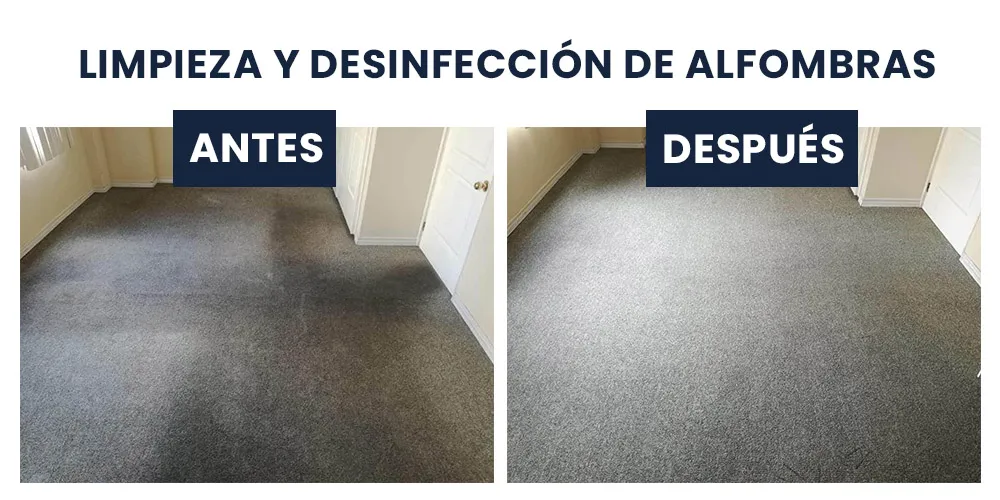 El Genio de las Alfombras