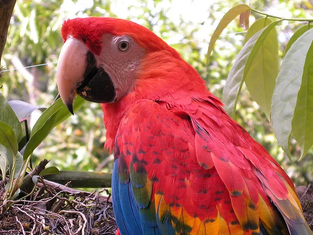 Optur Ecuador