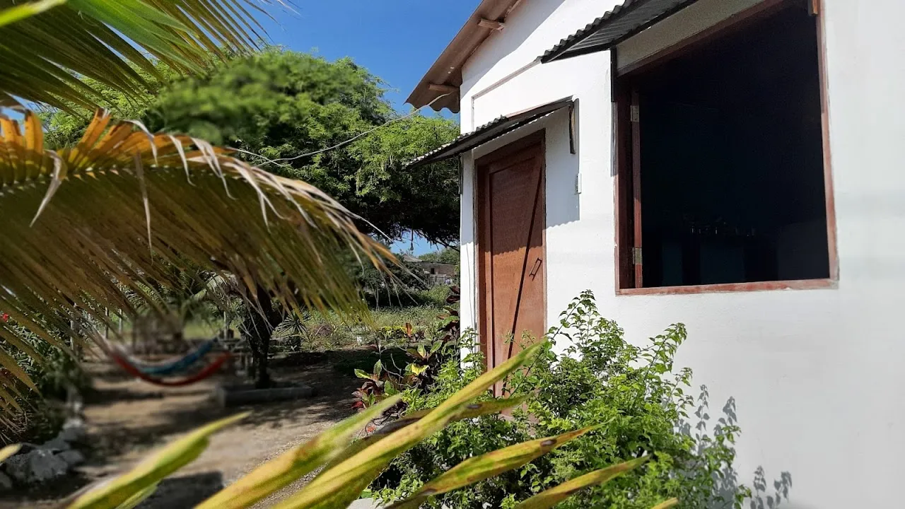 La Casa del Arbol de la Vida